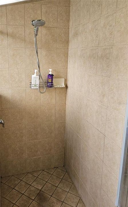 Master Bath Shower