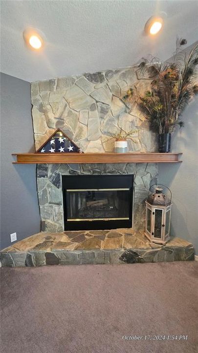 Wood Burning Fireplace