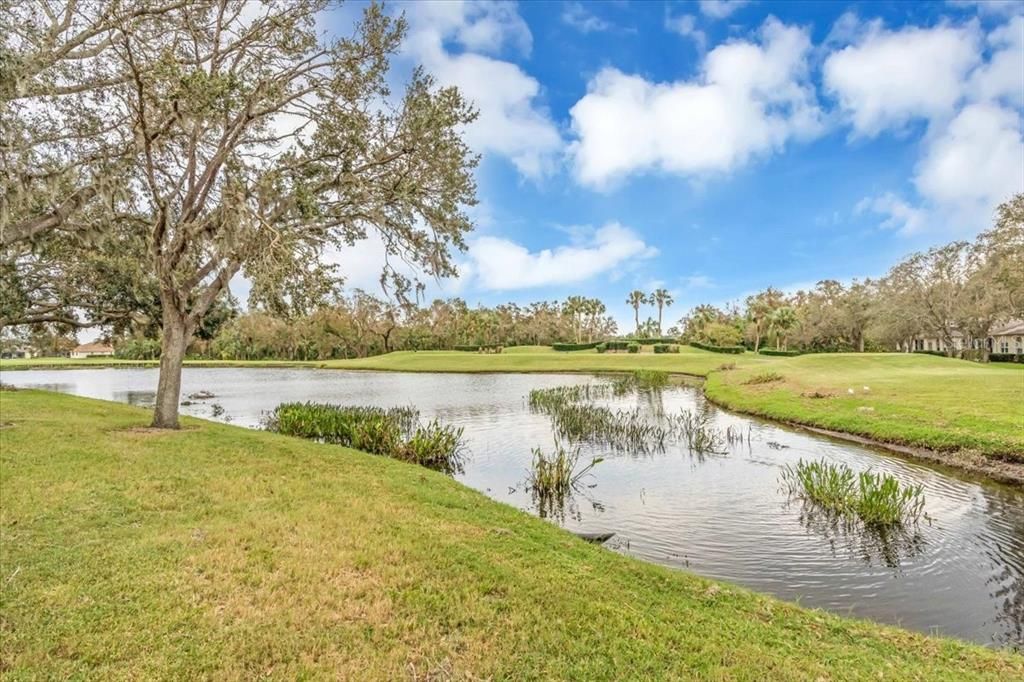 back yard view overlooking the 17th hole