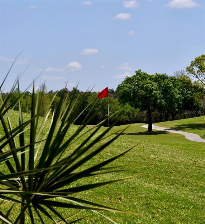 golf course, refurbish in 2023