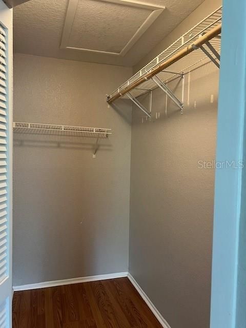 Primary Walk in Closet