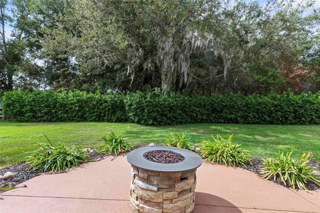 Back patio with firepit