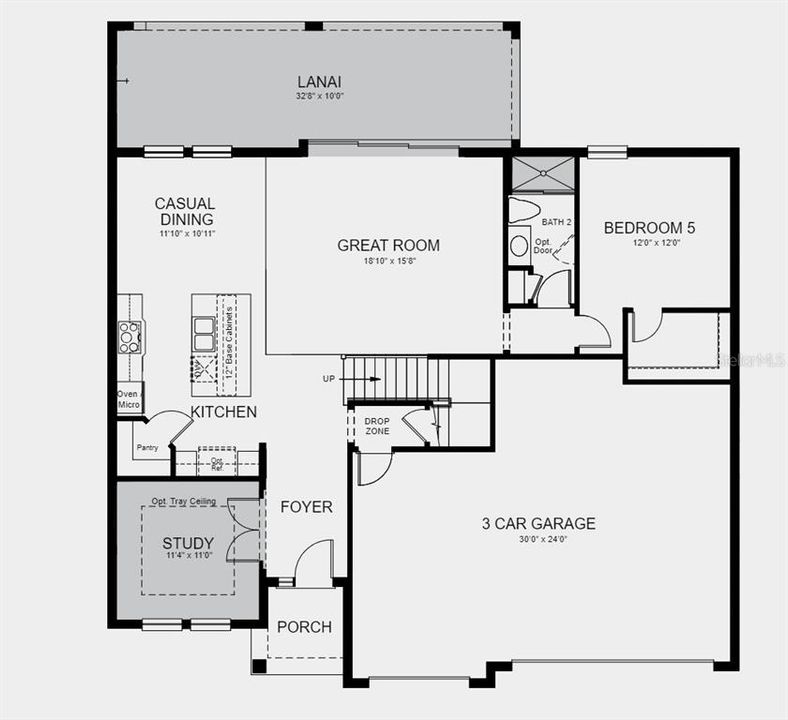 Structural options added include: tray ceilings, pocket sliding glass door to extended covered lanai, study.