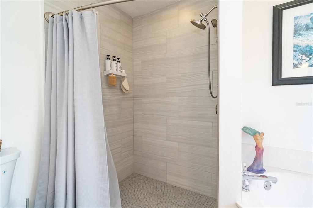 Updated Primary Bathroom Shower