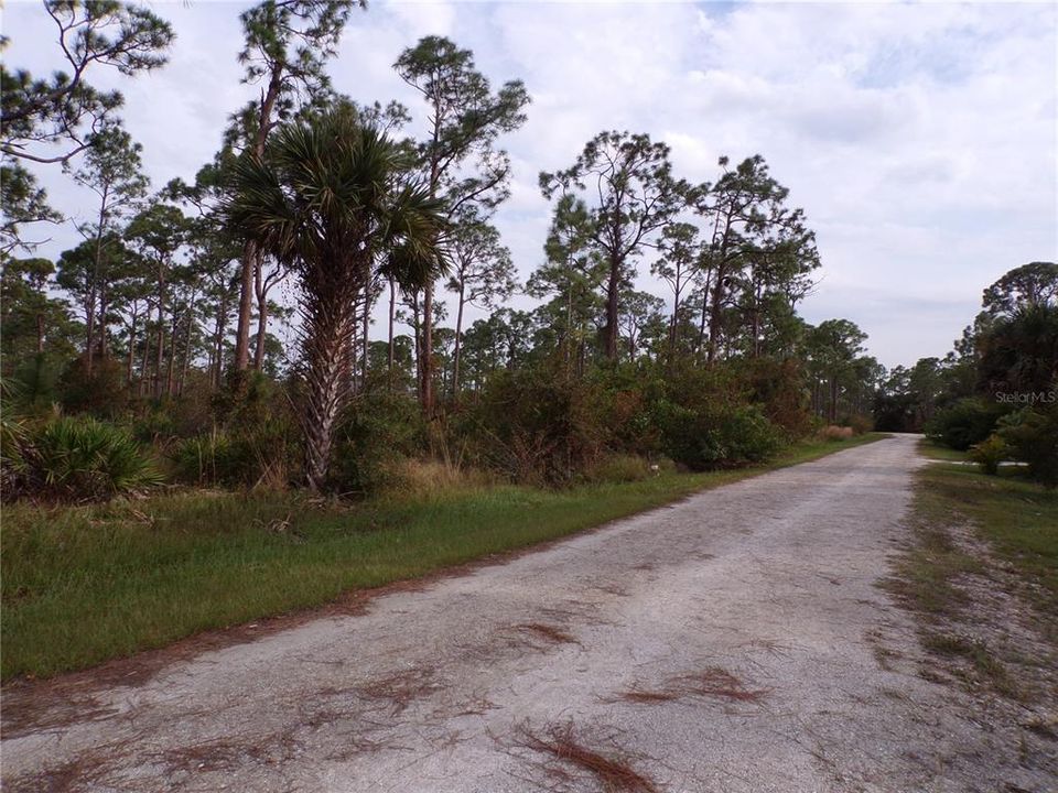 En Venta: $22,990 (0.33 acres)