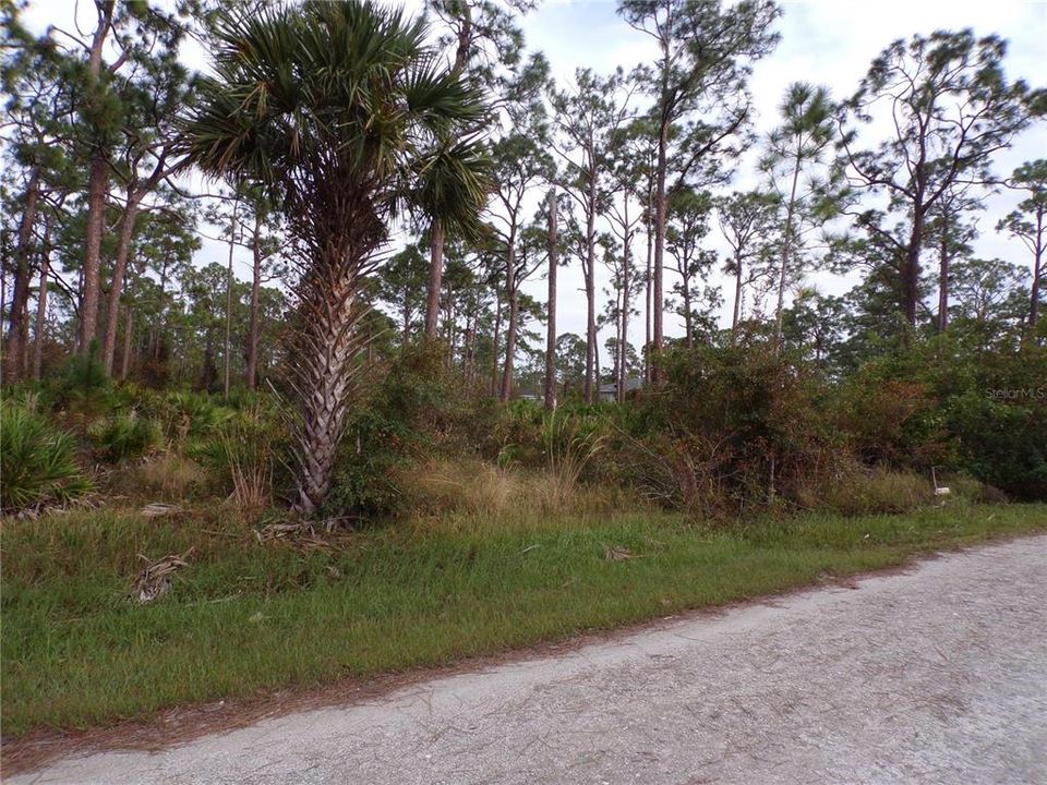 En Venta: $22,990 (0.33 acres)