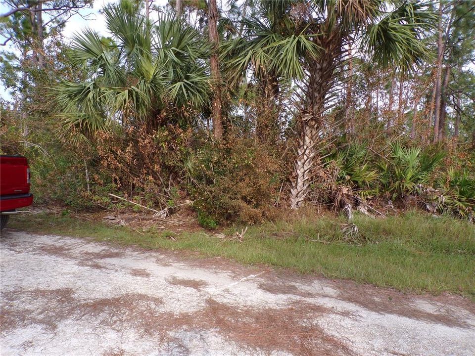 En Venta: $22,990 (0.33 acres)