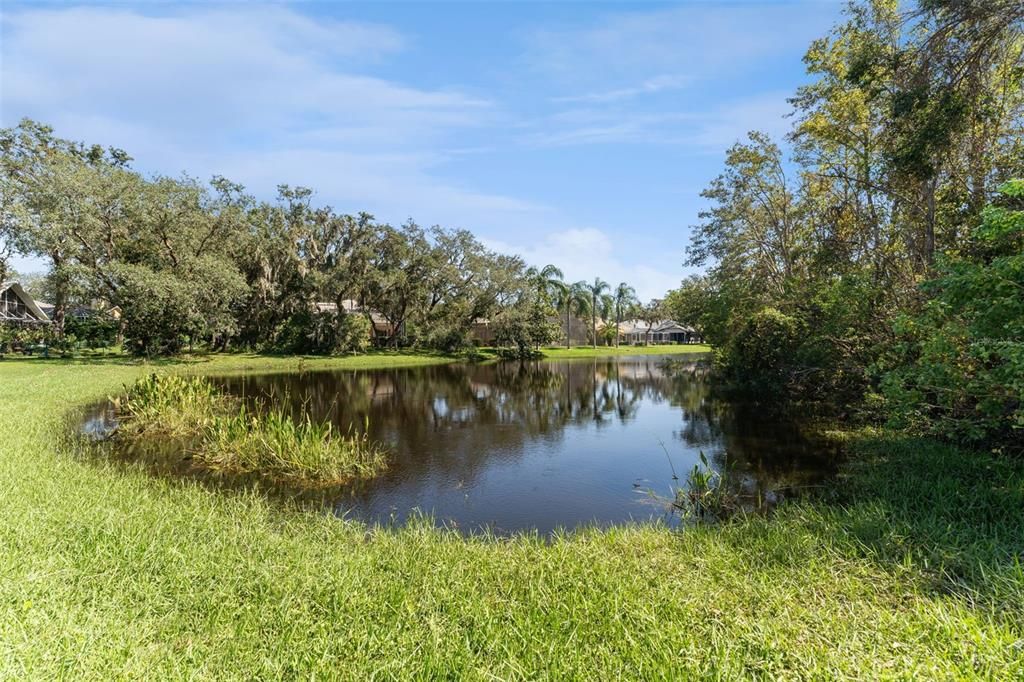 Pond Access and View!