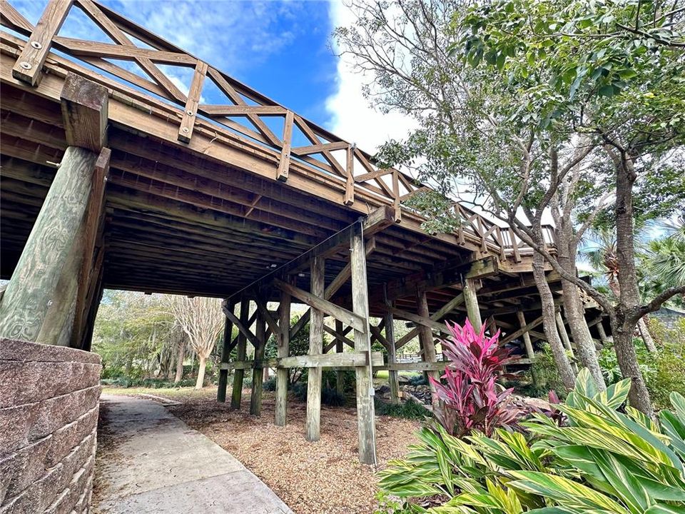 Under the wooden bridge. Beautiful waterside trails.