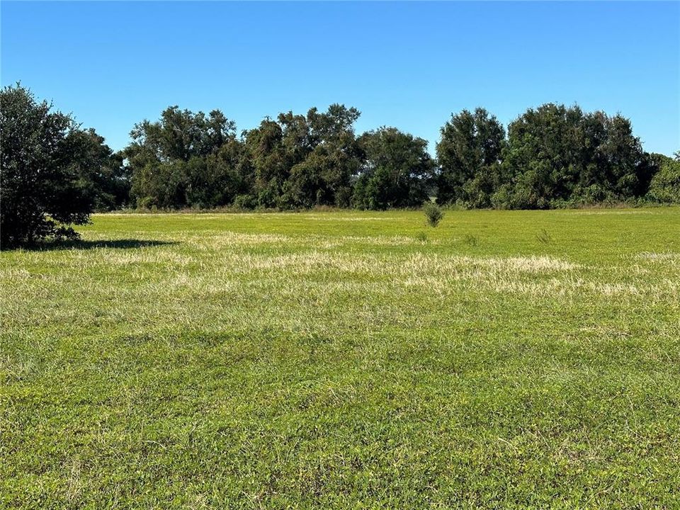 For Sale: $105,000 (3.00 acres)