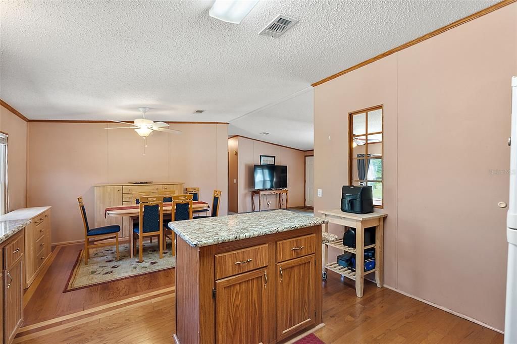 Kitchen view from back entrance