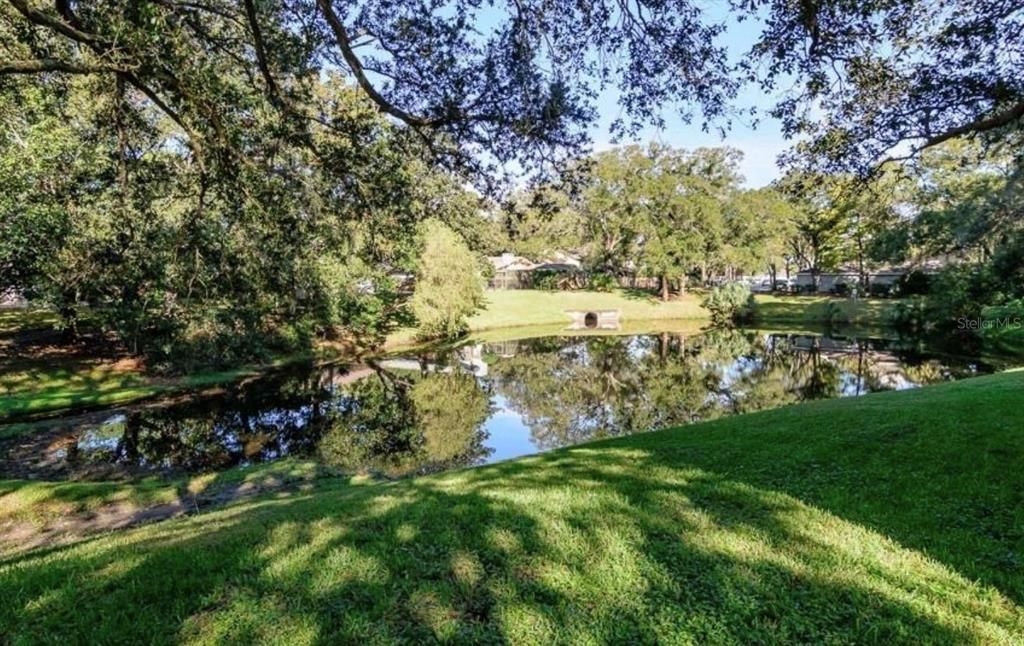 pond view off back patio