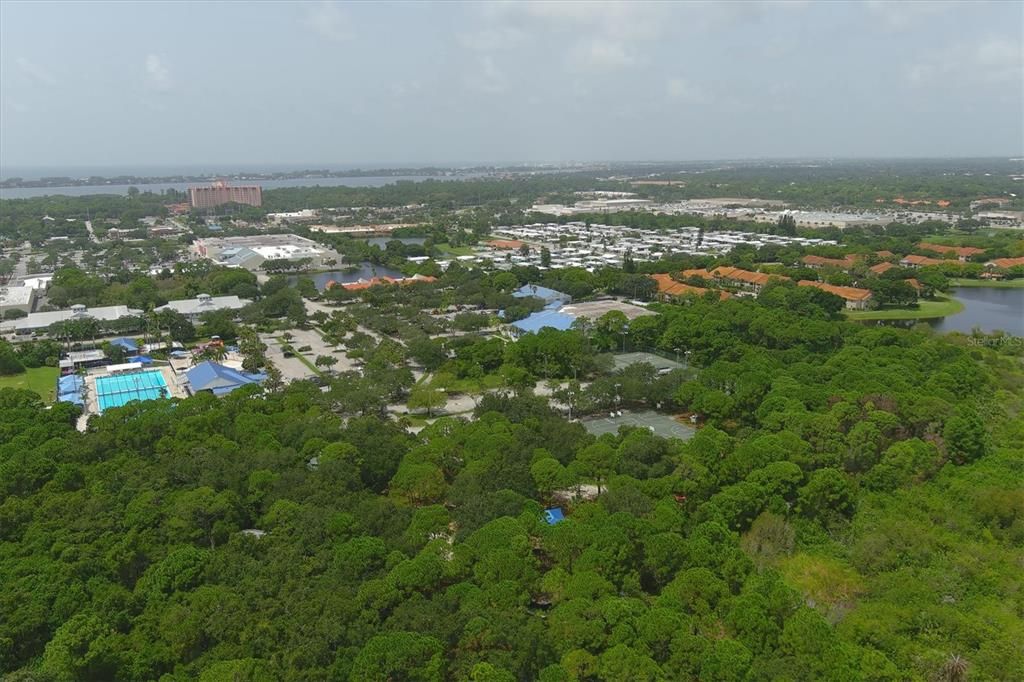 Aerial of Potter Park.