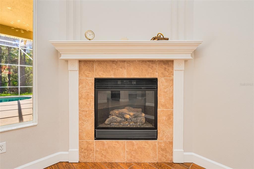 FIREPLACE IN LIVING ROOM