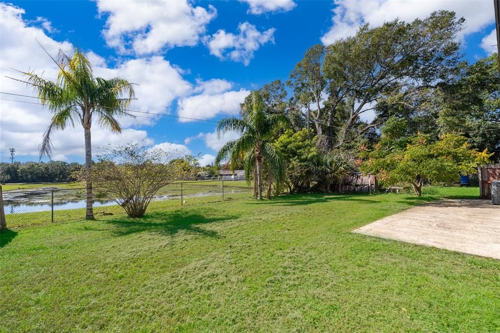 Back Yard/Patio and Pond