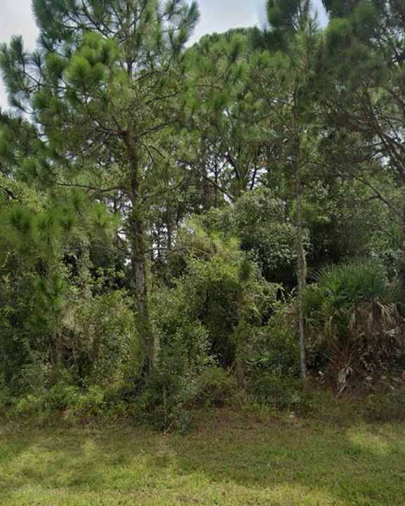 En Venta: $24,000 (0.28 acres)