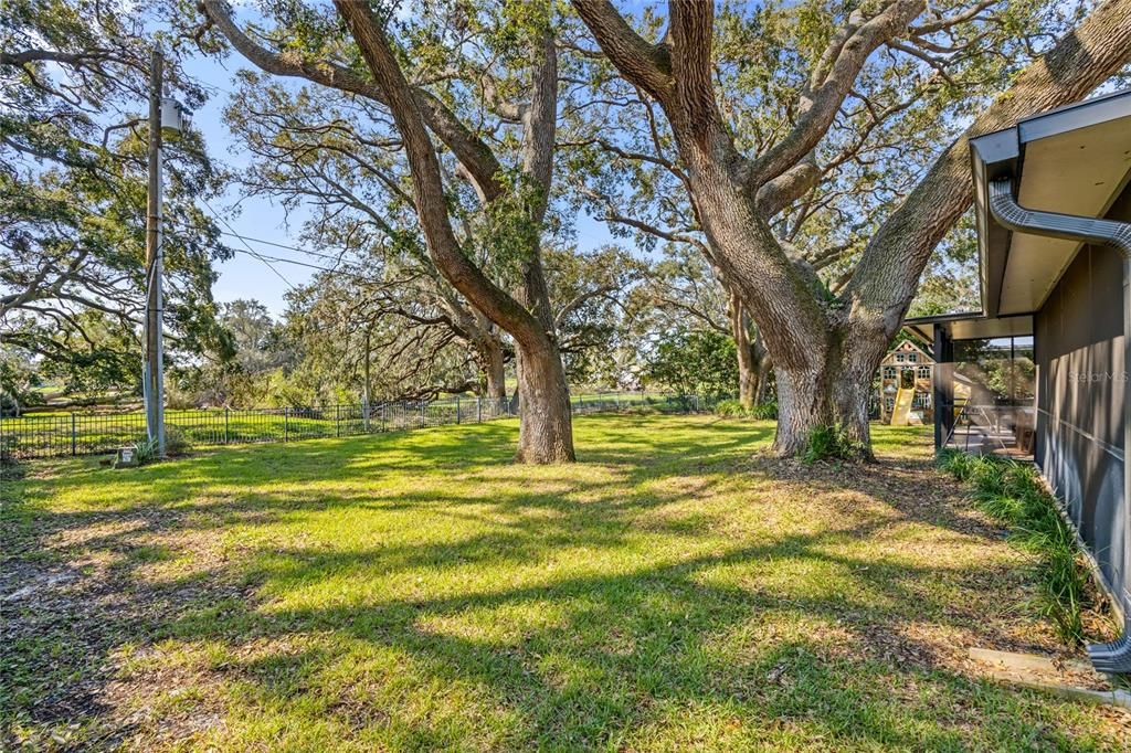 The back yard is expansive and provides plenty of space to add a pool or plant a garden.