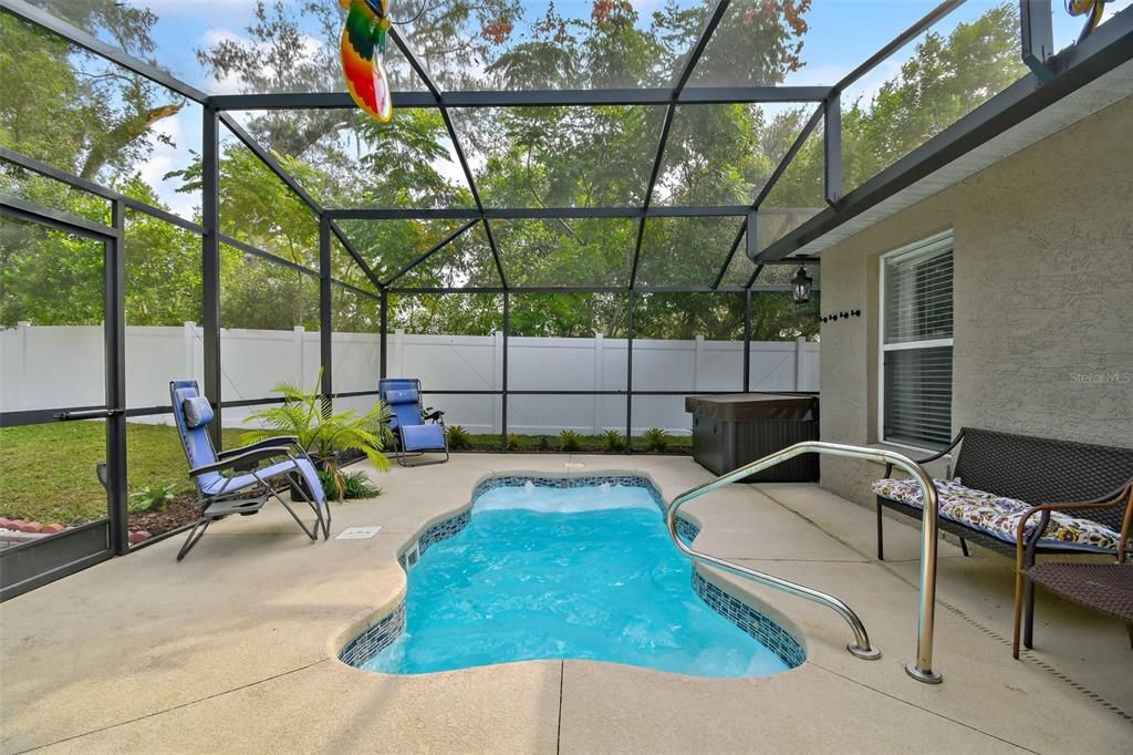 Screened Plunge Pool