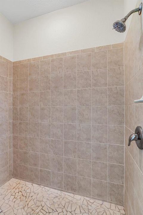 Walk-In Shower