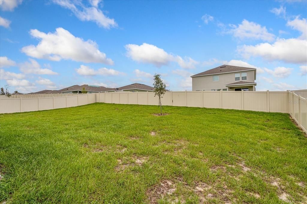 Fenced Backyard