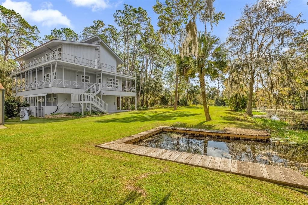 Wide and spacious backyard