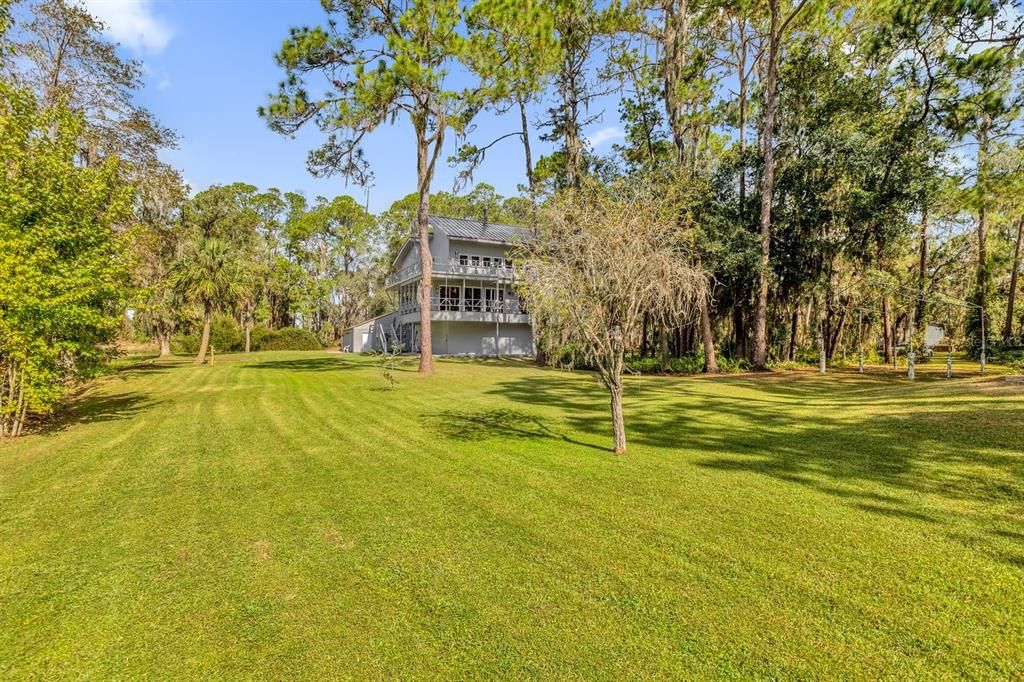 Wide and spacious backyard