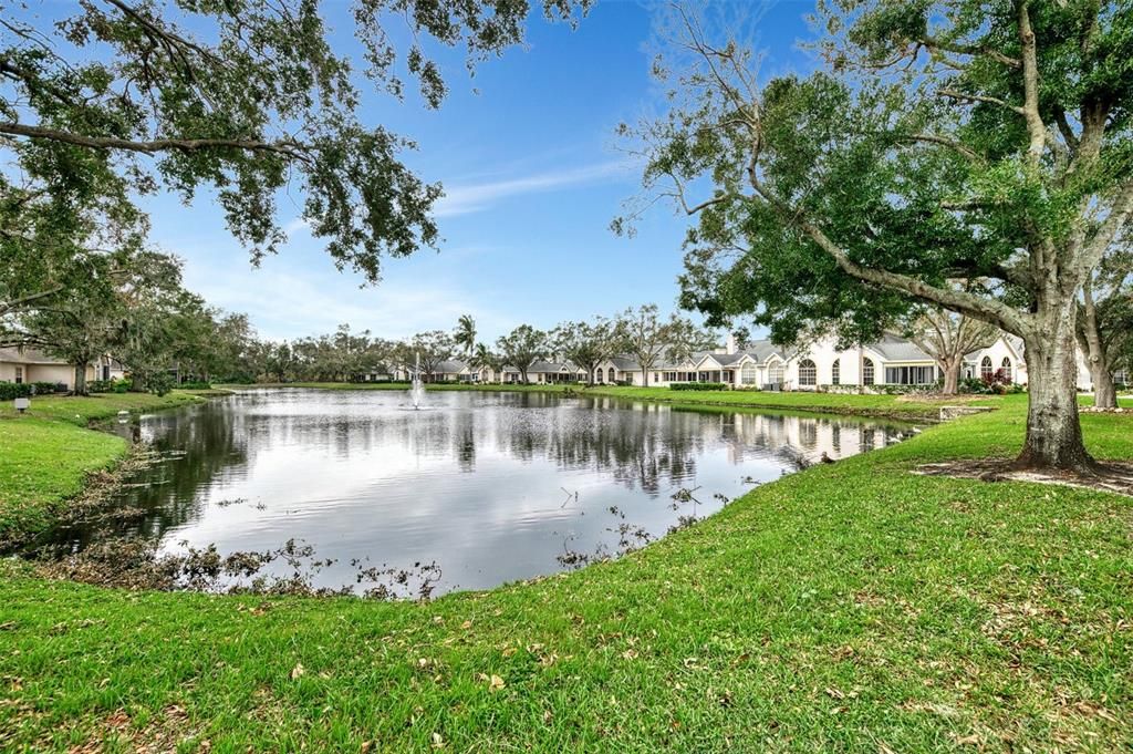 Serene Lake view