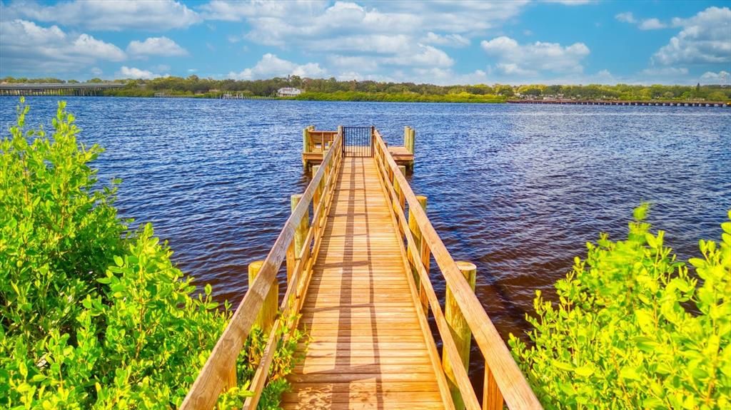 The fishing Dock