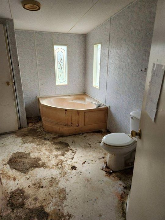 Tub and shower in Master Bath