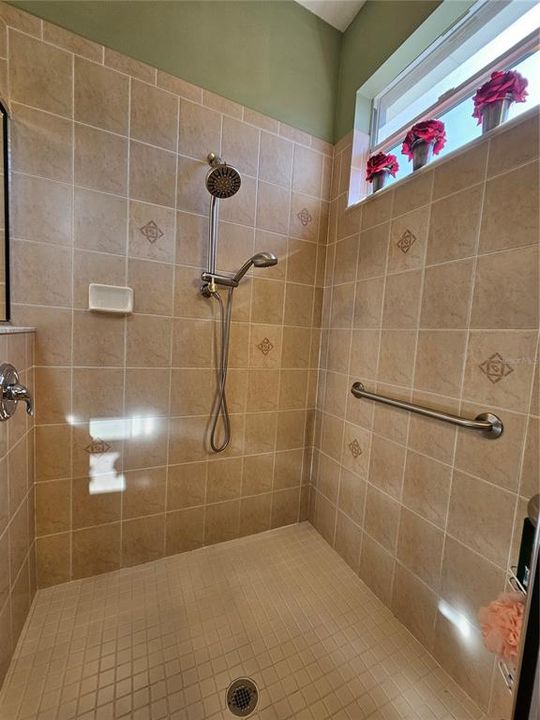 Primary Bath Walk-In Shower