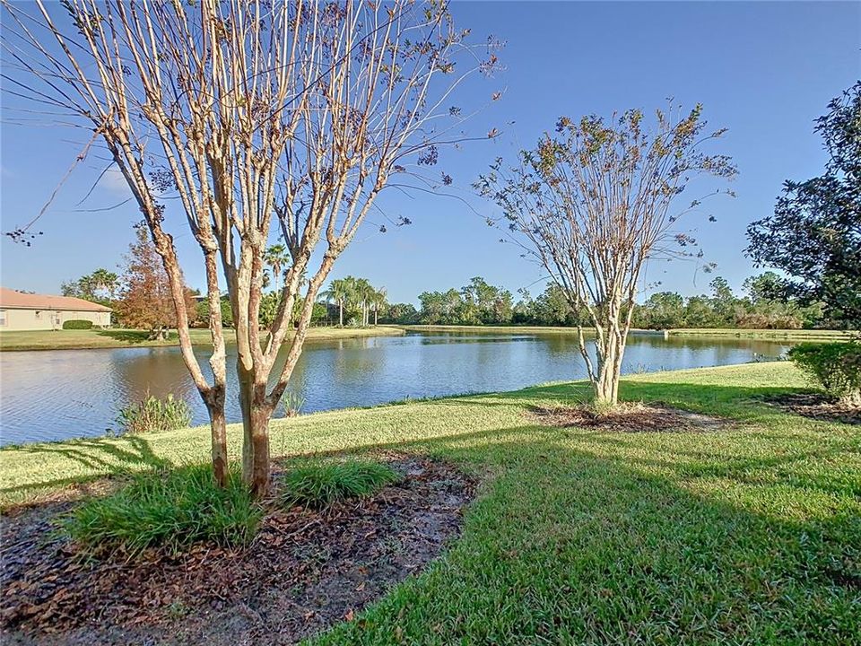 Incredible Pond and Preserve View