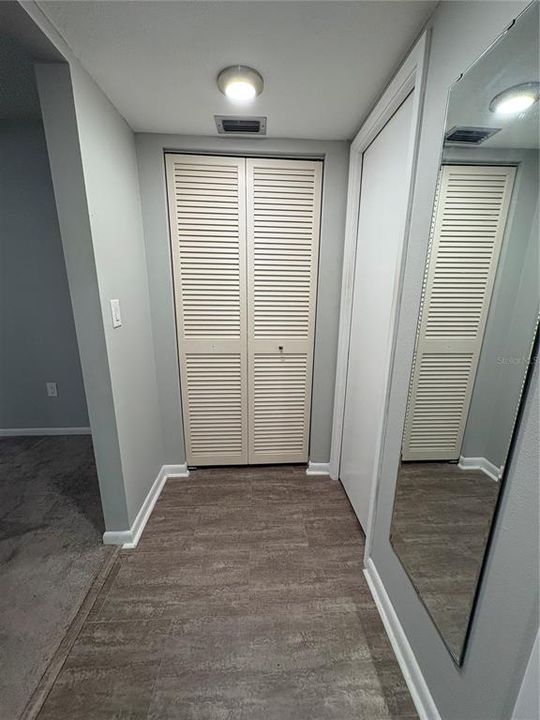 Primary storage/closet