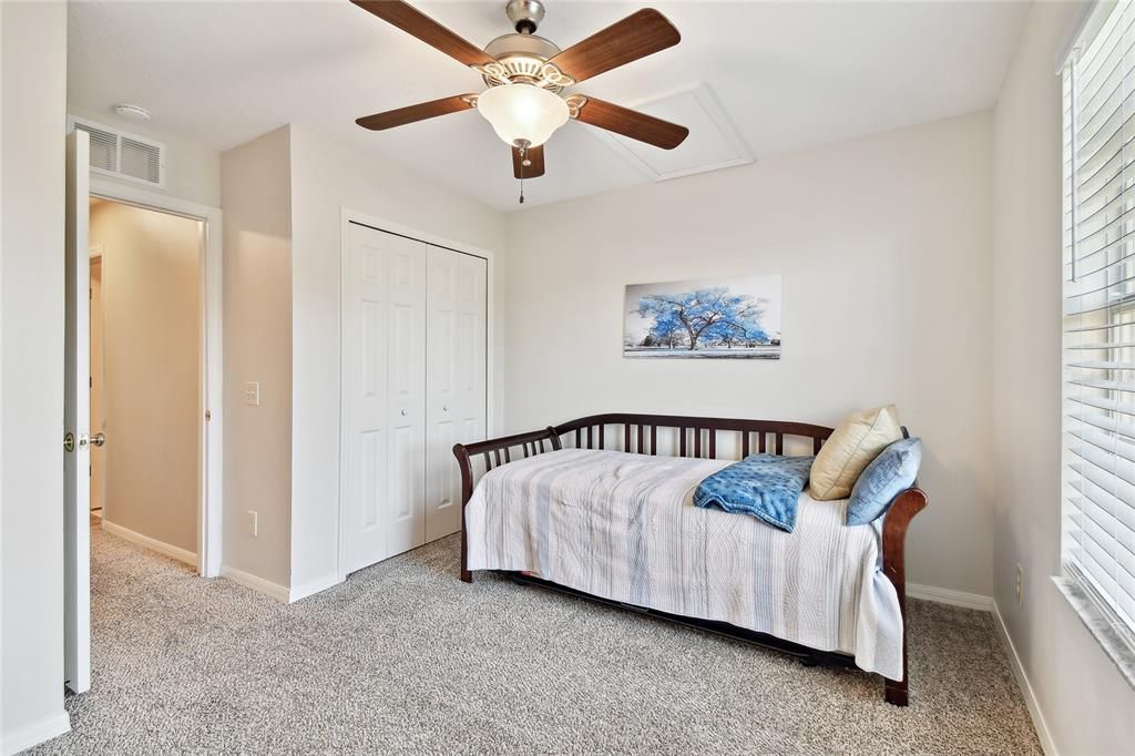 freshly steamed plush carpet in a room rarely used with built in closet