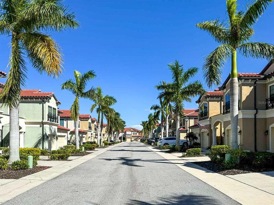 Lovely Palm Lined Streets