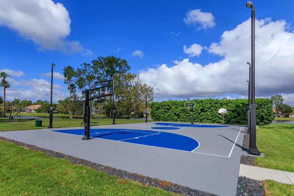 Lake Forest Basketball Court