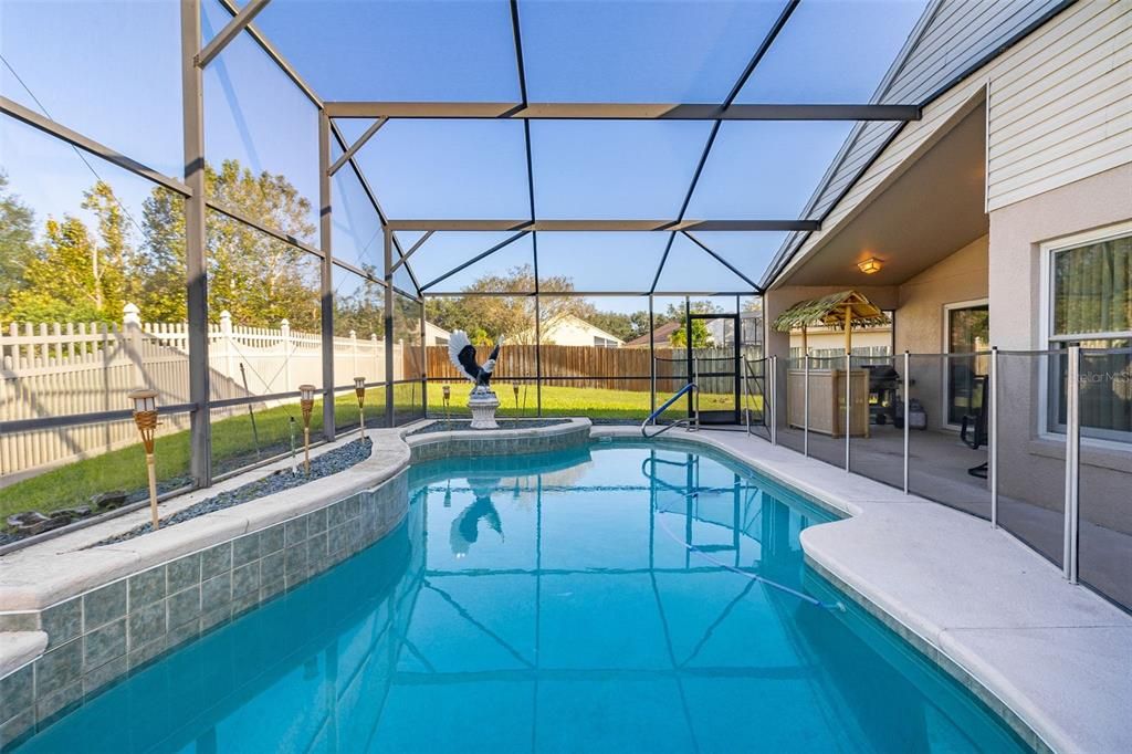 Pool with screen lanai