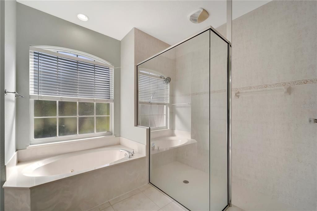 Large Walk-In Shower and Jetted Garden Tub