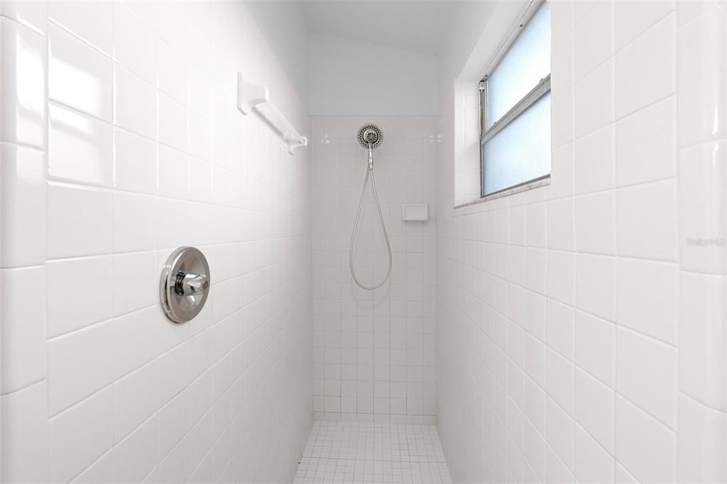 Primary bathroom shower