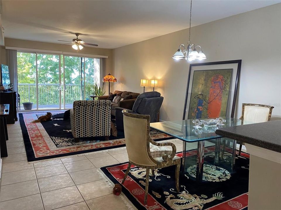 Dining room Living combo