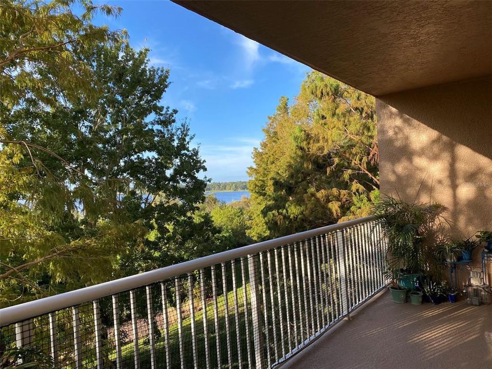 Large balcony overlooking conservation and Turkey Lake