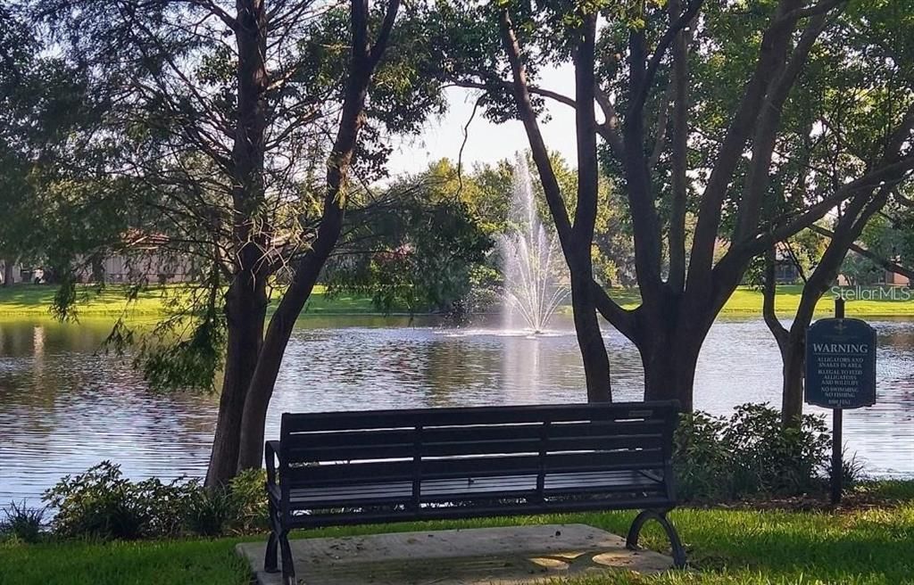 Pond bench