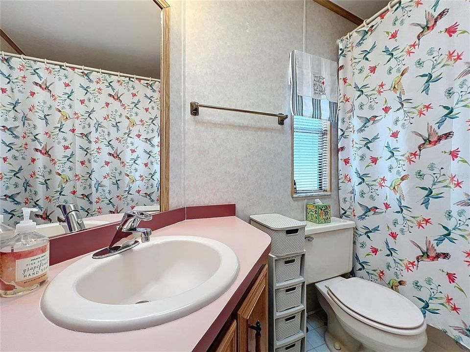 Hall bathroom