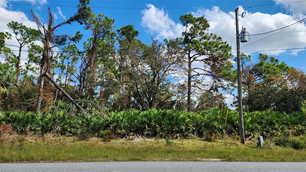 На продажу: $26,000 (0.23 acres)