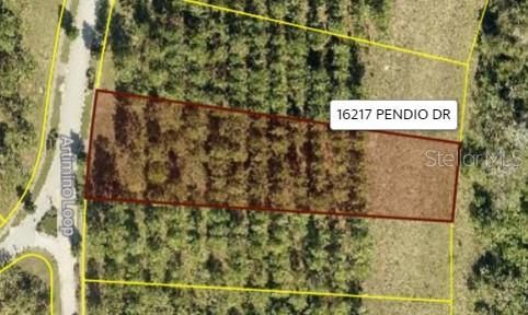 Vendido Recientemente: $499,000 (1.24 acres)