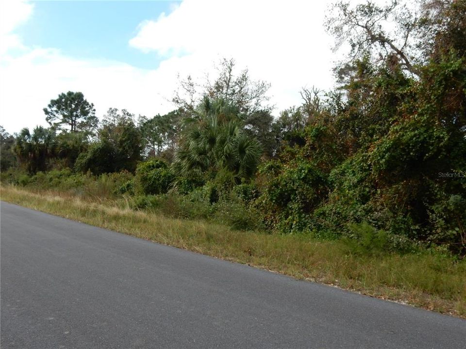 En Venta: $15,500 (0.23 acres)