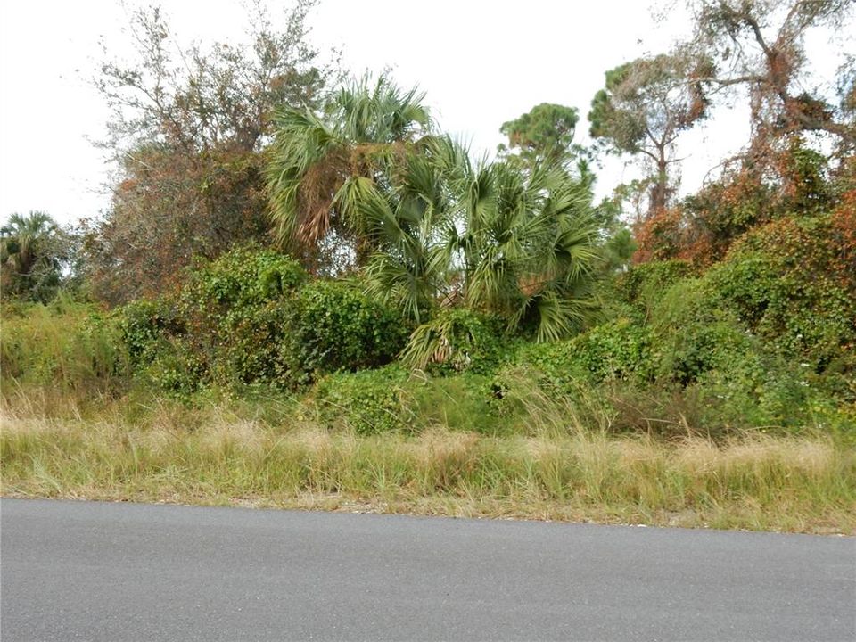 En Venta: $15,500 (0.23 acres)