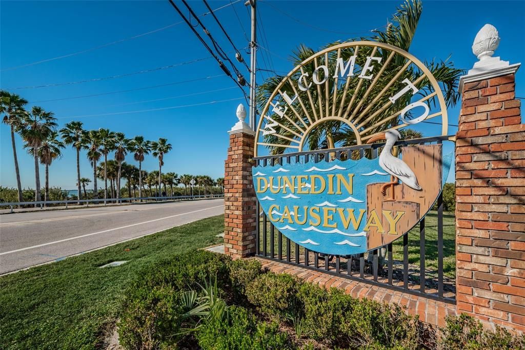 Close to Dunedin Causeway