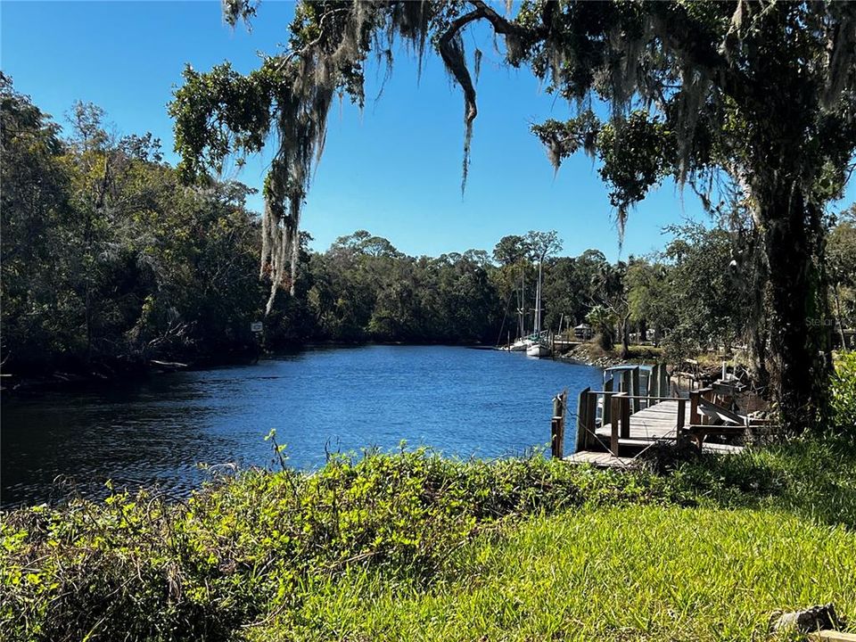 Withlacoochee River 1 block away & 6 min boat ride to the Gulf of Mexico