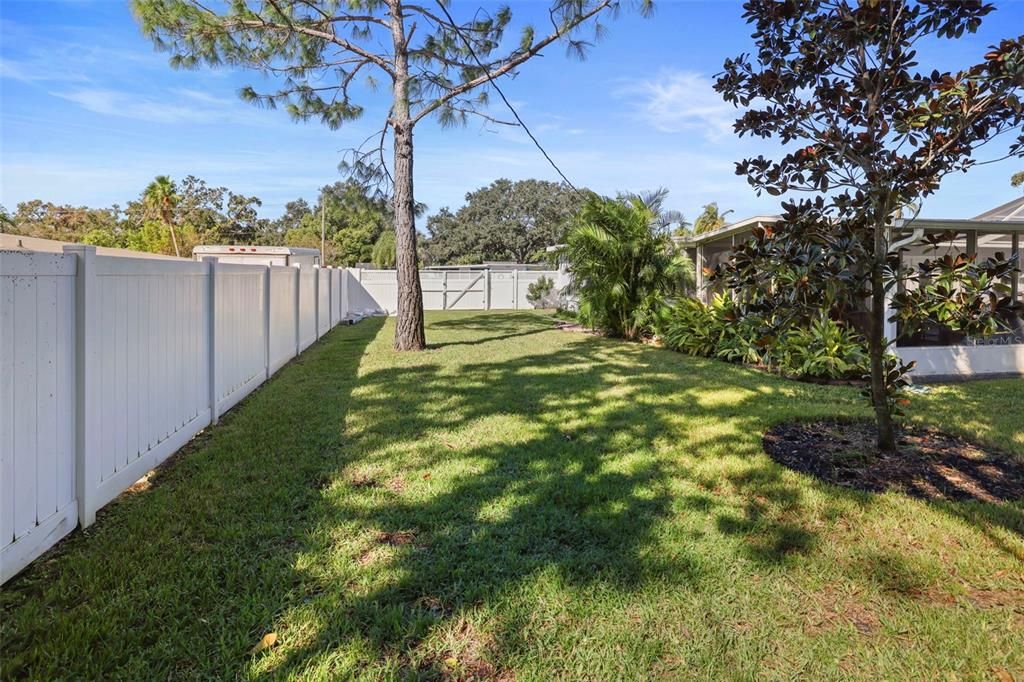 Backyard completely fenced with mature plantings