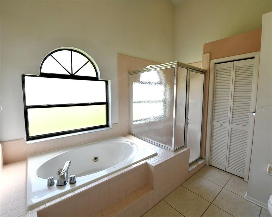 Master Bathroom 1